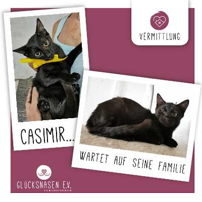 Patentier Casimir