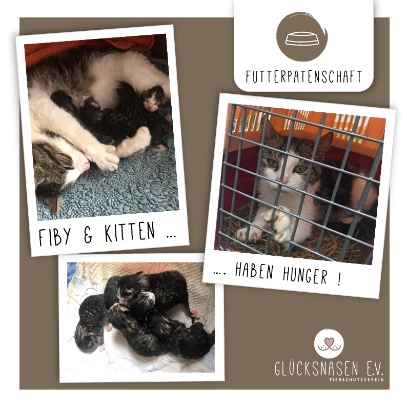 Fiby & Kitten